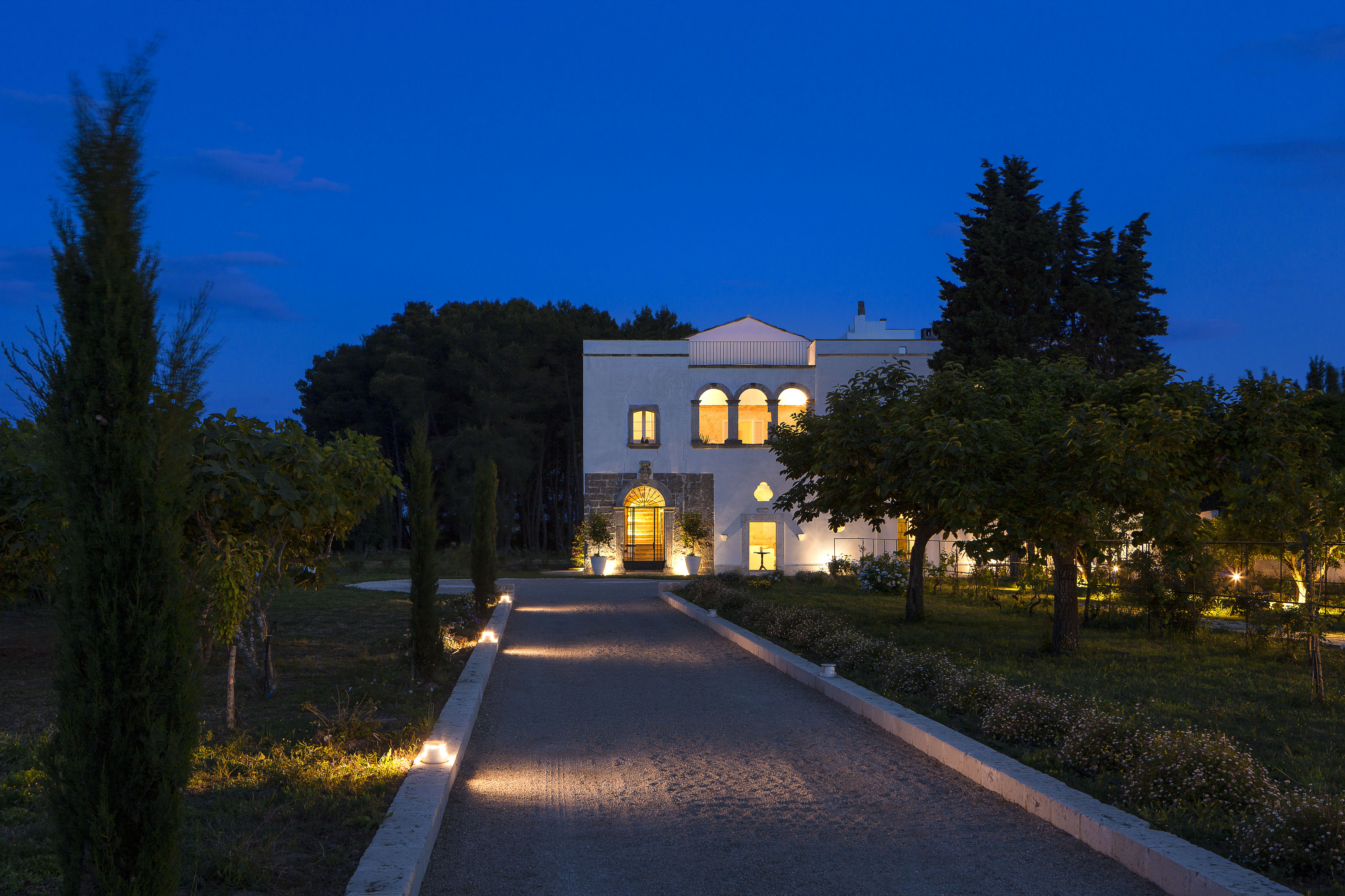 Immagine 3